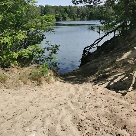 Waldbungalow Mit Wlan Und Terrasse In Seenähe-hund Willkommen Ferienhaus Gommern