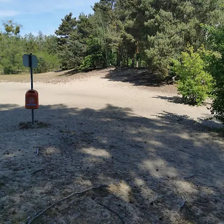 Waldbungalow Mit Wlan Und Terrasse In Seenähe-hund Willkommen *