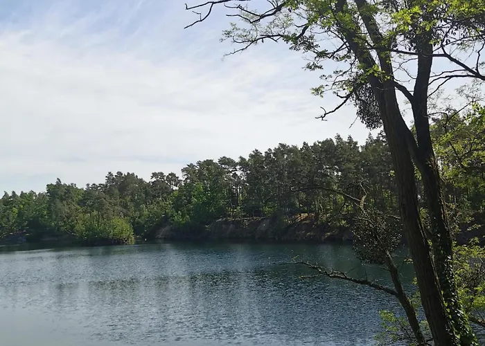 Waldbungalow Mit Wlan Und Terrasse In Seenaehe-hund Willkommen Gommern