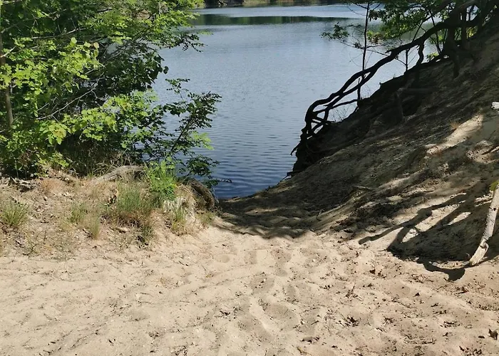 Waldbungalow Mit Wlan Und Terrasse In Seenaehe-hund Willkommen Feriehus Gommern