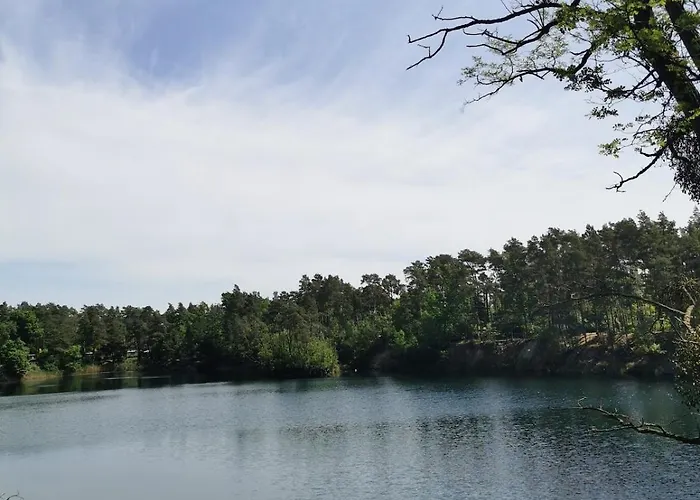 Waldbungalow Mit Wlan Und Terrasse In Seenaehe-hund Willkommen Feriehus *
