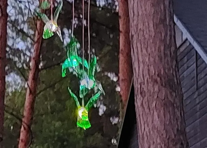 Waldbungalow Mit Wlan Und Terrasse In Seenaehe-hund Willkommen Feriehus
